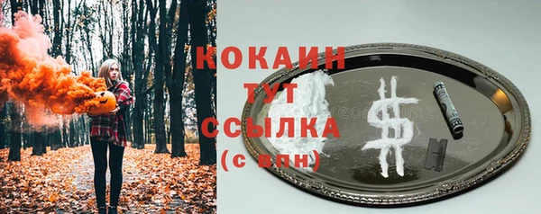 молекула духа Алексеевка