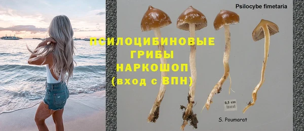 mdpv Алзамай