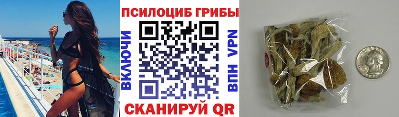 Галлюциногенные грибы мицелий  мега ТОР  Михайловск 
